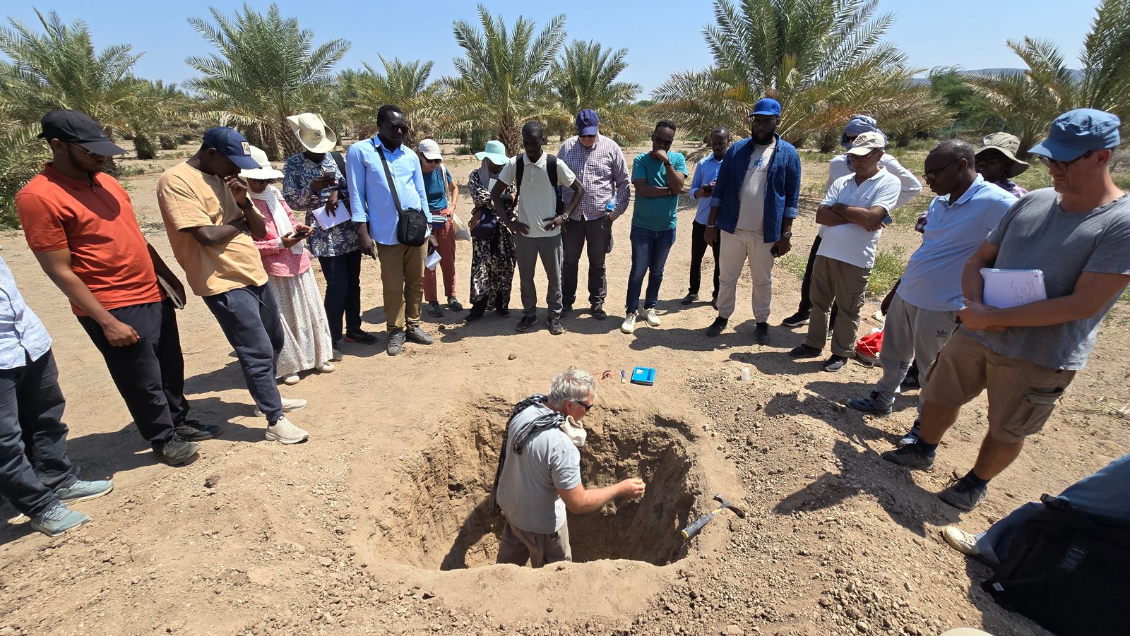 Groupe de participants observant un profil de sol dans une palmeraie